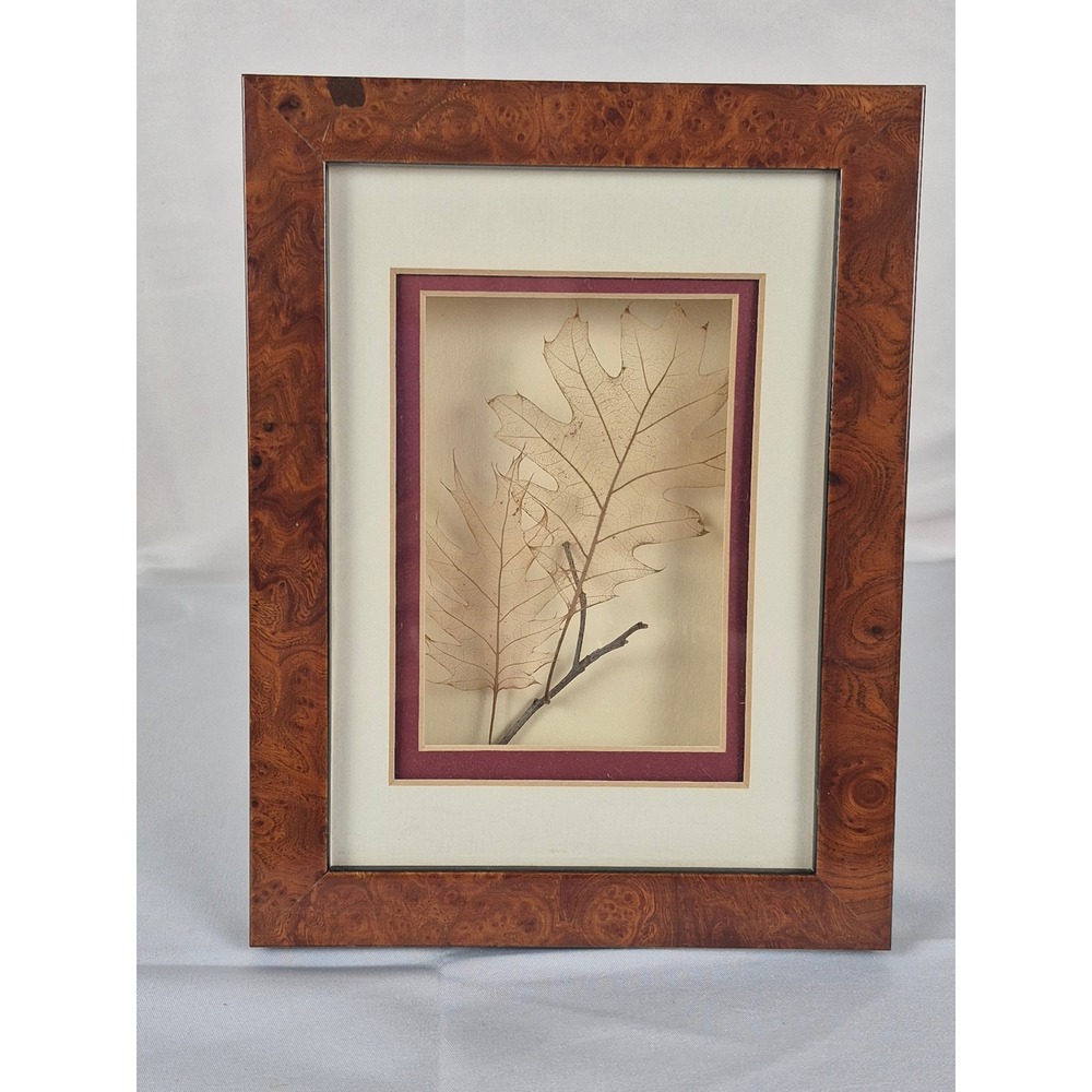 Vintage Skeleton Leaf Art Burl Wood Look Frame Booker Morey 1994 Decor Oak Tree